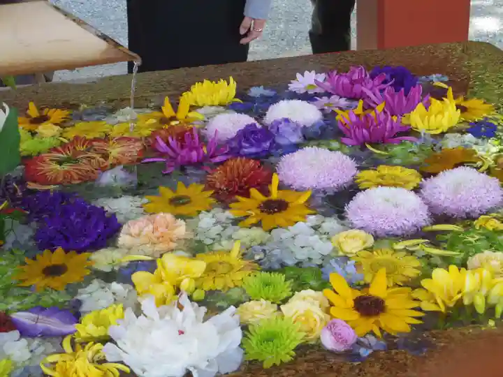 鶴岡八幡宮の手水舎