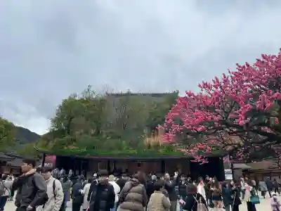 太宰府天満宮(福岡県)