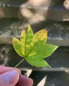 滑川神社 - 仕事と子どもの守り神の自然(2021年10月24日(日) 11時36分41秒投稿)
