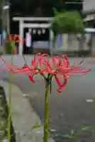 月読神社(神奈川県)
