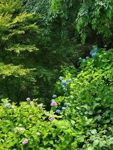 石都々古和気神社(福島県)