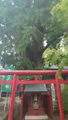 大福田寺(三重県)