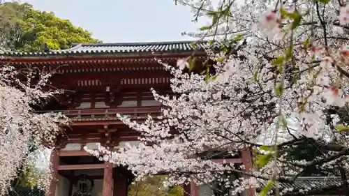 醍醐寺(京都府)