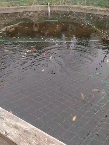 大國神社(宮城県)