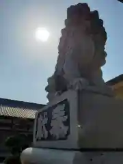 安城神社の狛犬