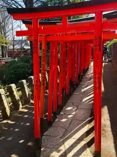 根津神社の鳥居