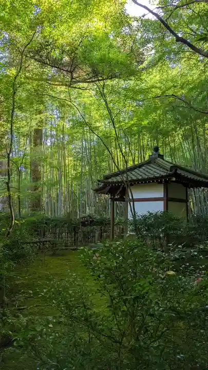 滝口寺(京都府)