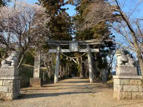 千代ケ岡八幡宮(栃木県)
