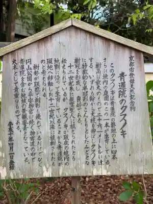 青蓮院門跡(京都府)