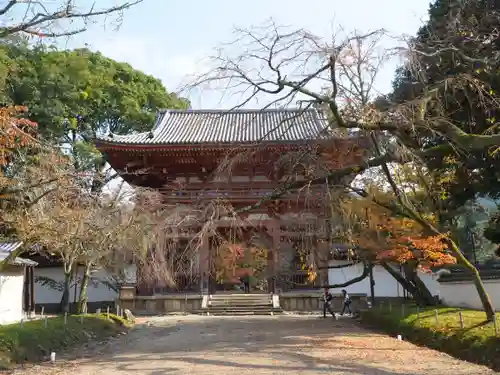 醍醐寺の山門