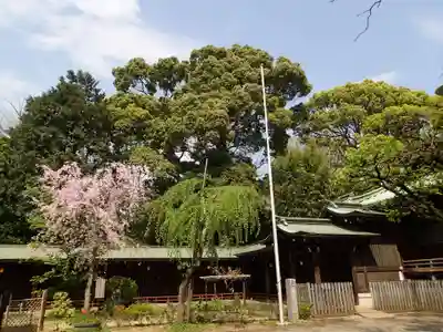 代々木八幡宮のその他建物