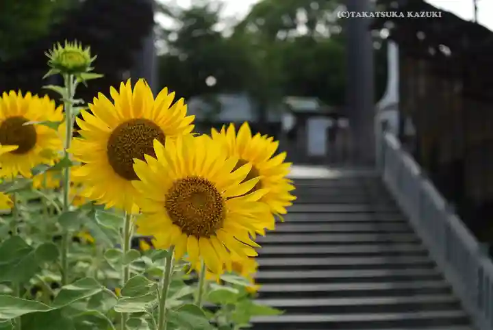 伊勢山皇大神宮(神奈川県)