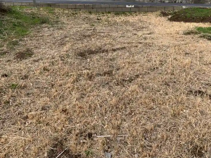 子安稲荷大明神の自然