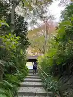 瑞泉寺(神奈川県)