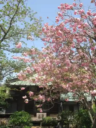 極楽寺（霊鷲山感應院極楽律寺）の自然
