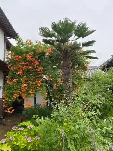 當麻寺西南院の自然