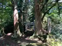 大矢谷白山神社の鳥居