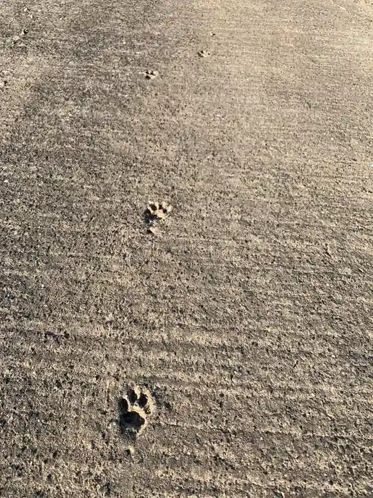 諏訪神社の動物