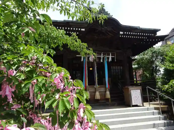 桜神宮の本殿