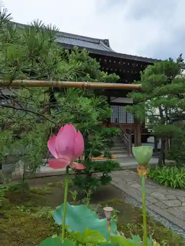 佛陀寺(京都府)