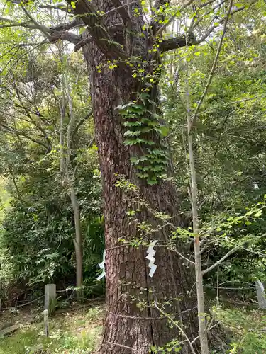 忍　諏訪神社・東照宮　(埼玉県)