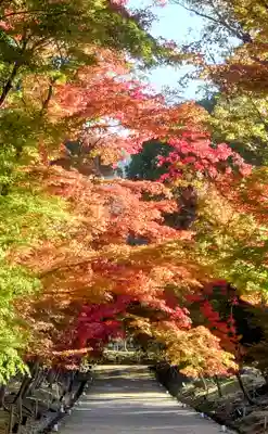 醍醐寺(京都府)