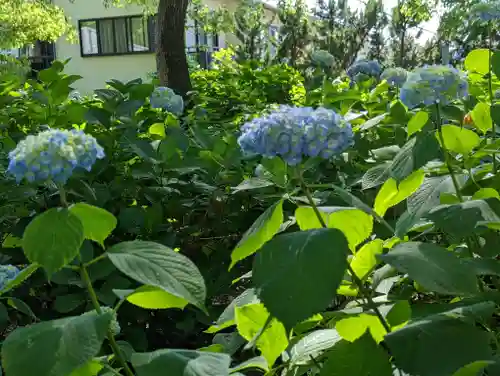 藤森神社(京都府)