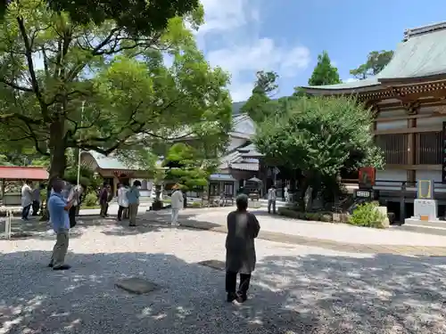 善楽寺の建物その他