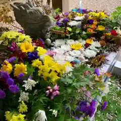 滑川神社 - 仕事と子どもの守り神の手水