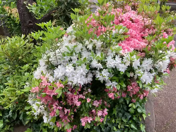 瑞円寺(東京都)