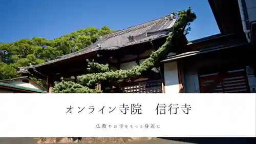 信行寺の体験その他