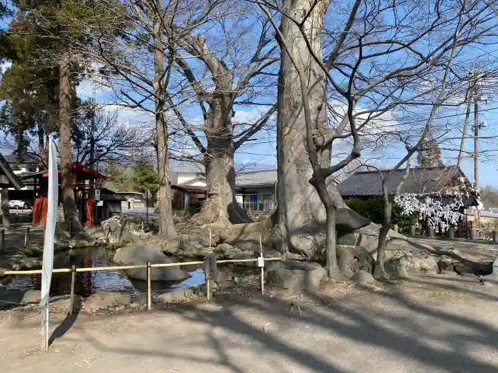 白鳥神社の{uncategorized: "未分類", other: "その他", undefined: "問題あり", building: "その他建物", grave: "お墓", sacred_gate: "鳥居", guardian: "狛犬", statue: "像", buddha: "仏像", history: "歴史", nature: "自然", garden: "庭園", animal: "動物", pagoda: "塔", temizu: "手水舎", mountain_gate: "山門・神門", sanctuary: "本殿・本堂", subordinate: "末社・摂社", art: "芸術", scenery: "景色", jizo: "地蔵", ema: "絵馬", goshuin: "御朱印", omikuji: "おみくじ", items: "授与品その他", amulet: "お守り", goshuincho: "御朱印帳", eats: "食事", festival: "お祭り", votive_dance: "神楽", shichigosan: "七五三参", wedding: "結婚式", experience: "体験その他", initially: "初詣", around: "周辺", anti_infection: "感染症対策"}