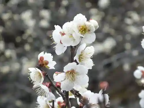 石山寺(滋賀県)