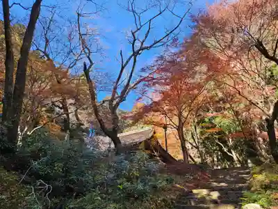 室生寺(奈良県)