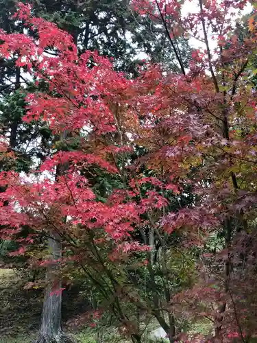 和氣神社（和気神社）の自然