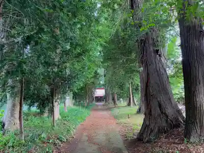 夷針神社(茨城県)