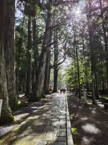 高野山金剛峯寺奥の院(和歌山県)
