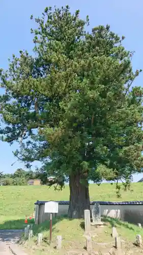 観世寺(福島県)