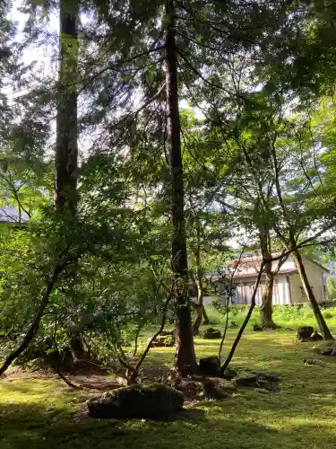 平泉寺白山神社(福井県)