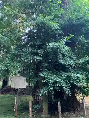 熊野神社(千葉県)