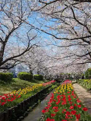 淡島社(神奈川県)