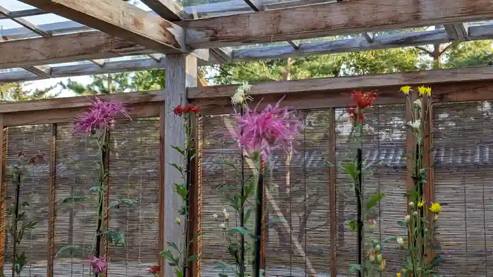 大覚寺(京都府)