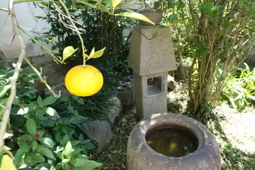伝香寺の手水舎
