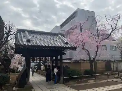 新井薬師（梅照院）(東京都)