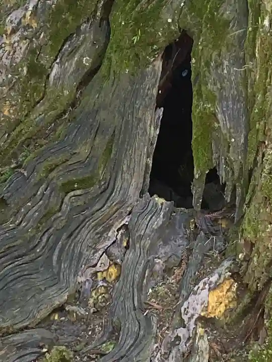 大神神社(奈良県)