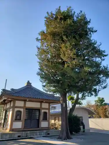 東円寺のその他建物