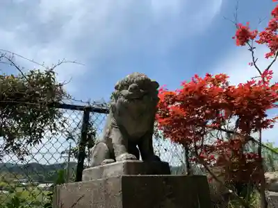 丹生神社の狛犬