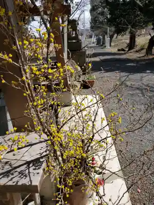高司神社〜むすびの神の鎮まる社〜(福島県)