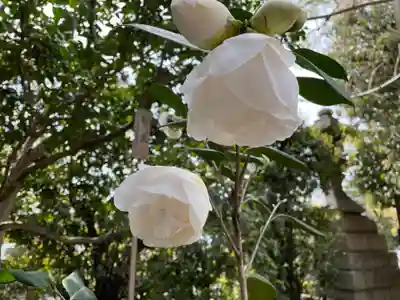 城南宮(京都府)