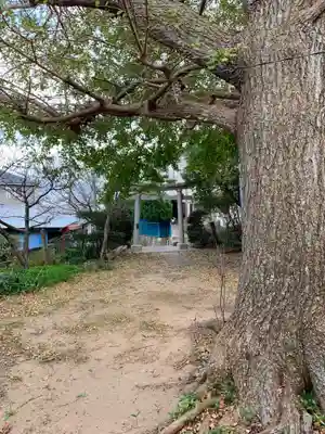 稲荷神社(千葉県)